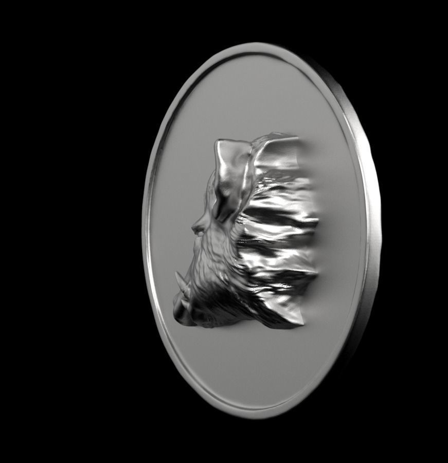 Chinese Zodiac Pig  003 3D print model_10