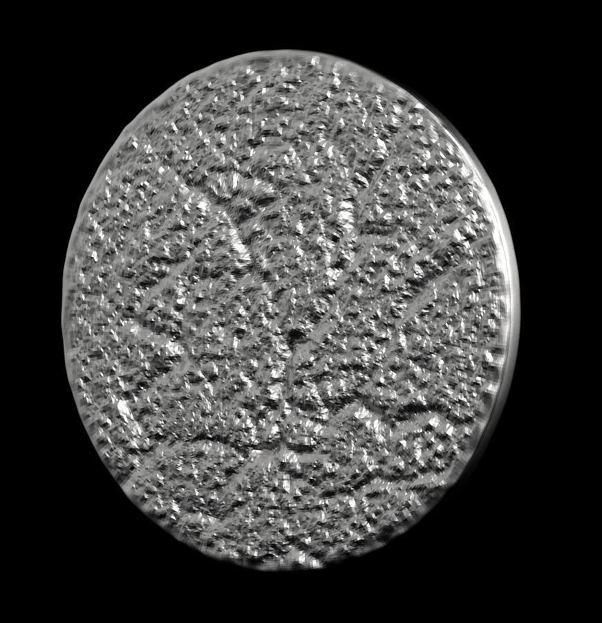 Chinese Zodiac Pig  003 3D print model_36