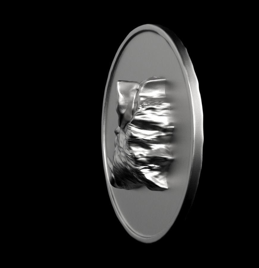 Chinese Zodiac Pig  003 3D print model_12