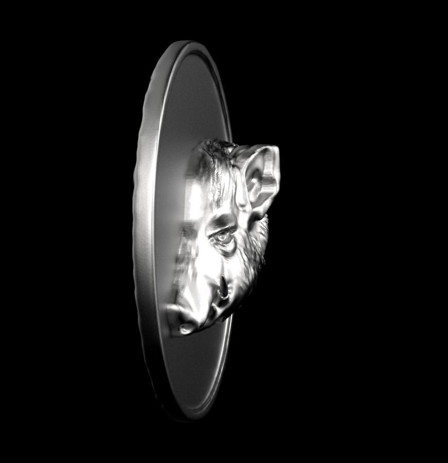 Chinese Zodiac Pig  003 3D print model_48