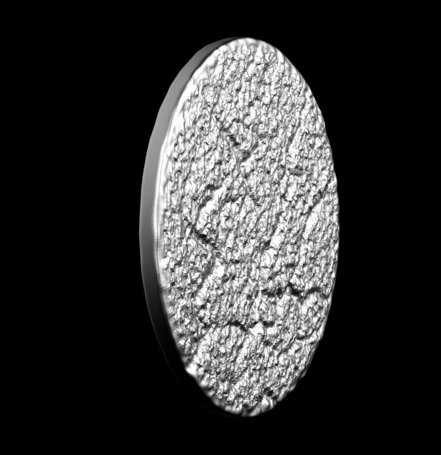 Chinese Zodiac Pig  003 3D print model_21