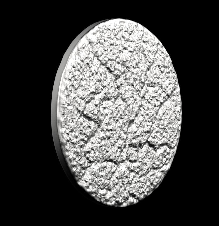 Chinese Zodiac Pig  003 3D print model_23