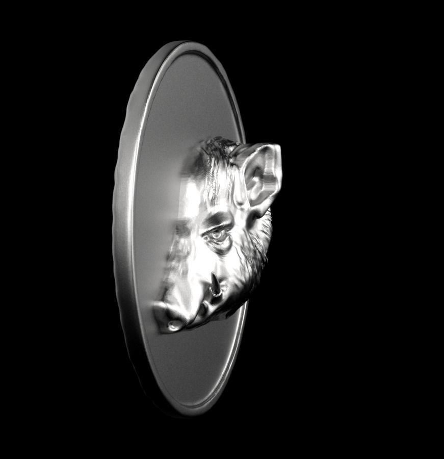 Chinese Zodiac Pig  003 3D print model_49