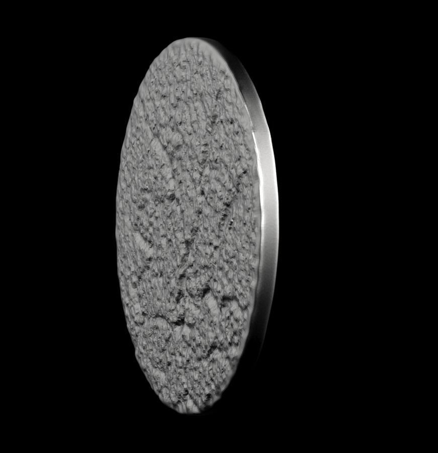 Chinese Zodiac Pig  003 3D print model_42