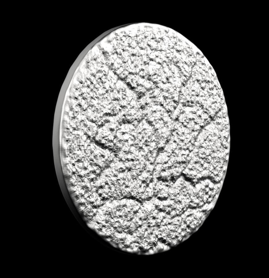 Chinese Zodiac Pig  003 3D print model_24