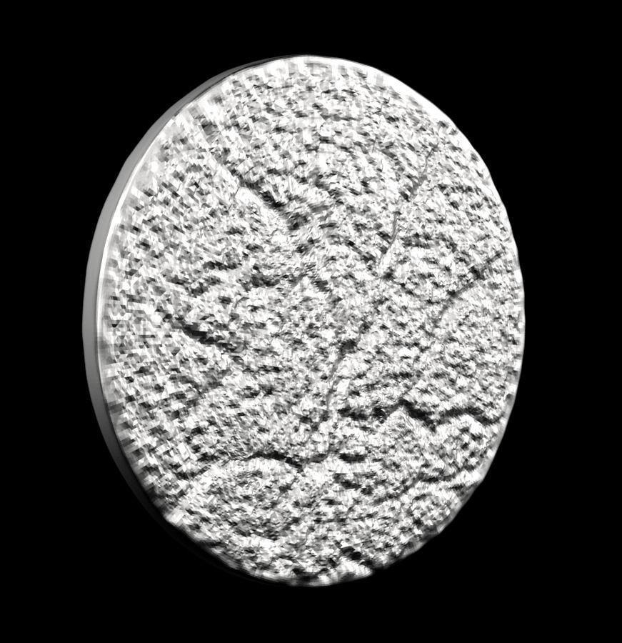 Chinese Zodiac Monkey 003 3D print model_25