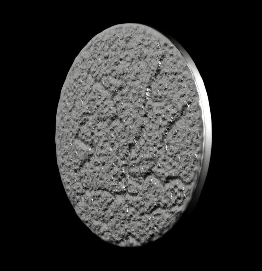 Chinese Zodiac Monkey 003 3D print model_39