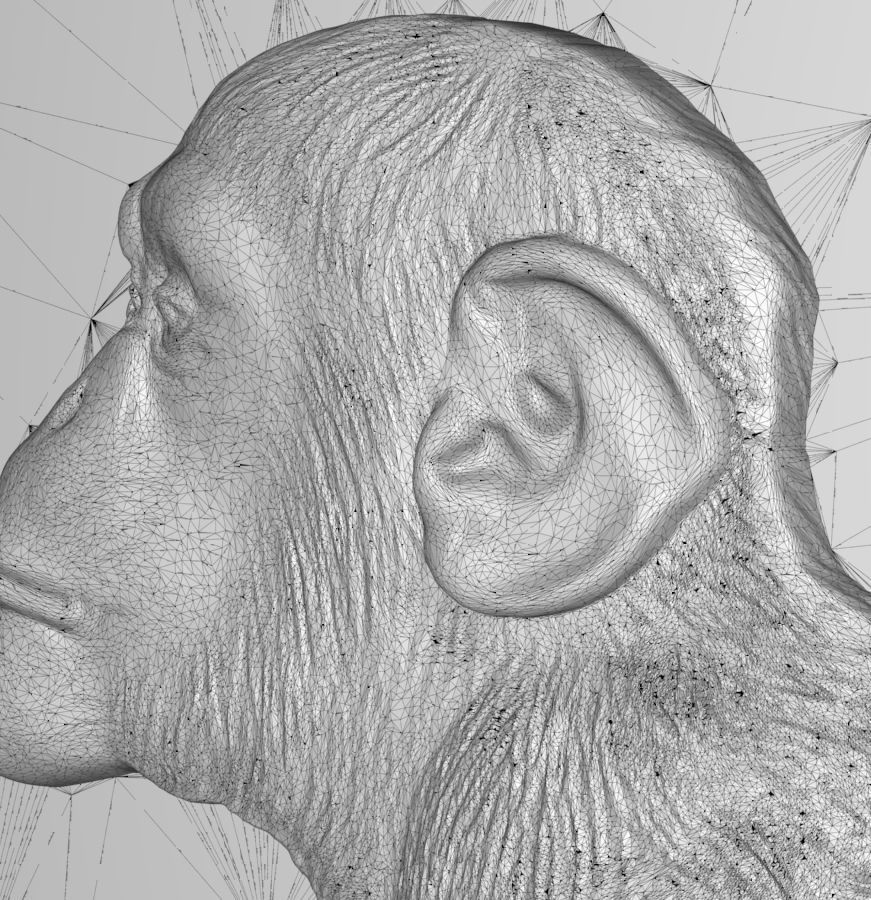 Chinese Zodiac Monkey 003 3D print model_62