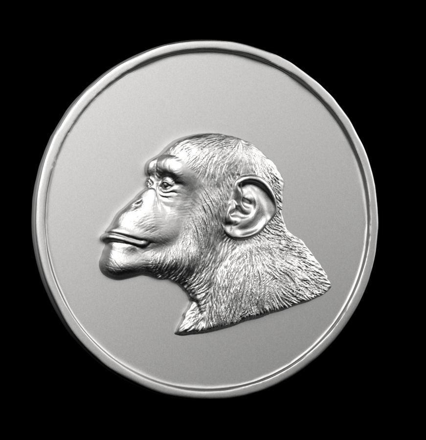 Chinese Zodiac Monkey 003 3D print model_58
