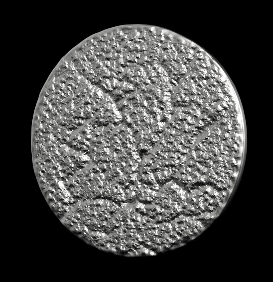 Chinese Zodiac Monkey 003 3D print model_35