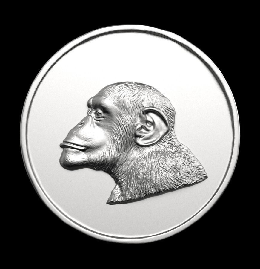 Chinese Zodiac Monkey 003 3D print model_61