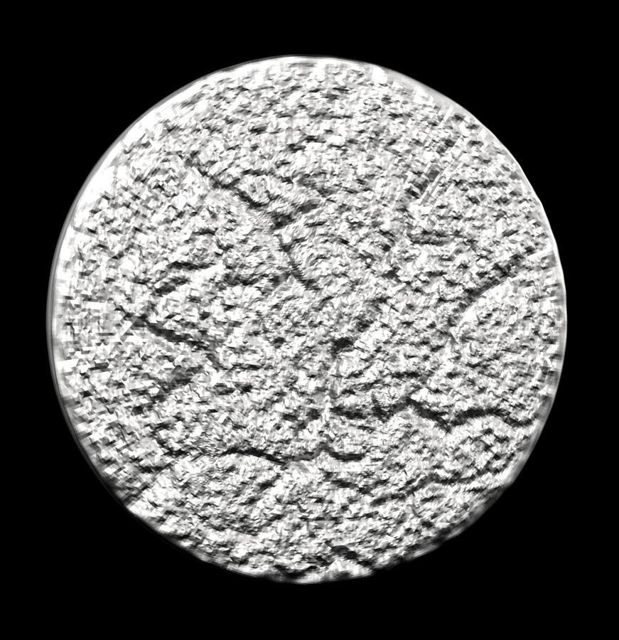 Chinese Zodiac Monkey 003 3D print model_29