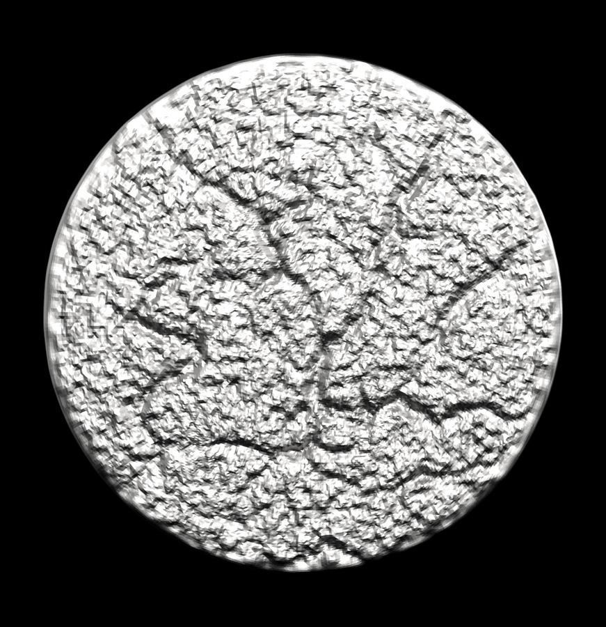 Chinese Zodiac Monkey 003 3D print model_31