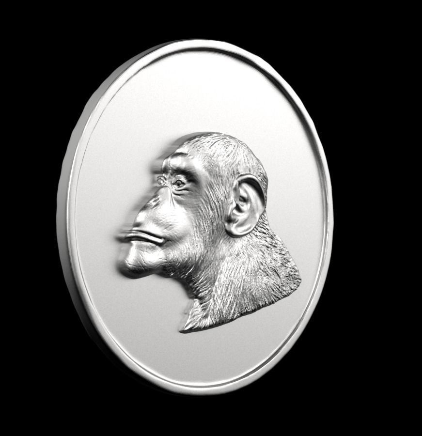 Chinese Zodiac Monkey 003 3D print model_54