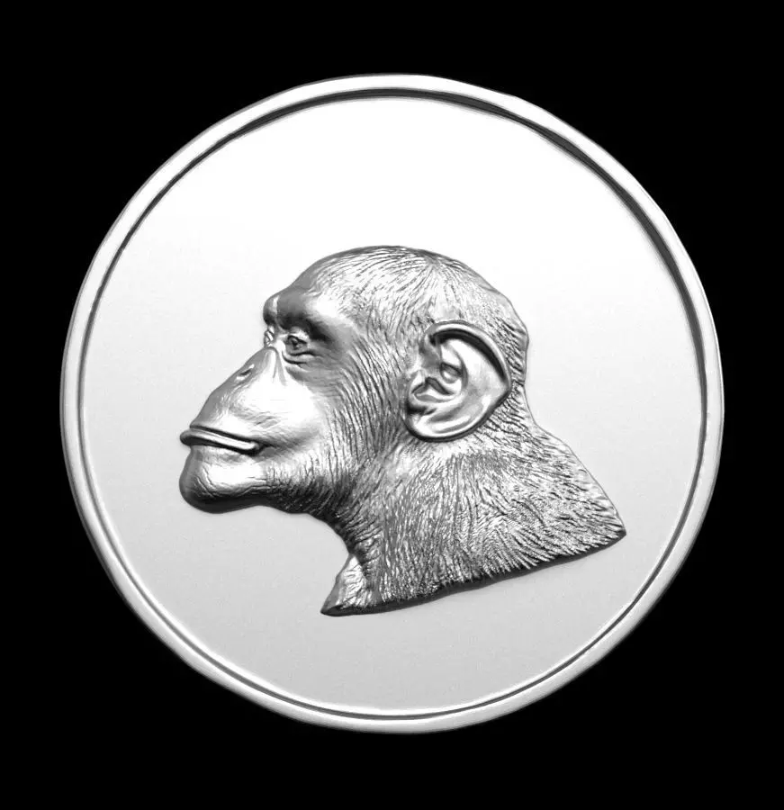 Chinese Zodiac Monkey 003 3D print model_0