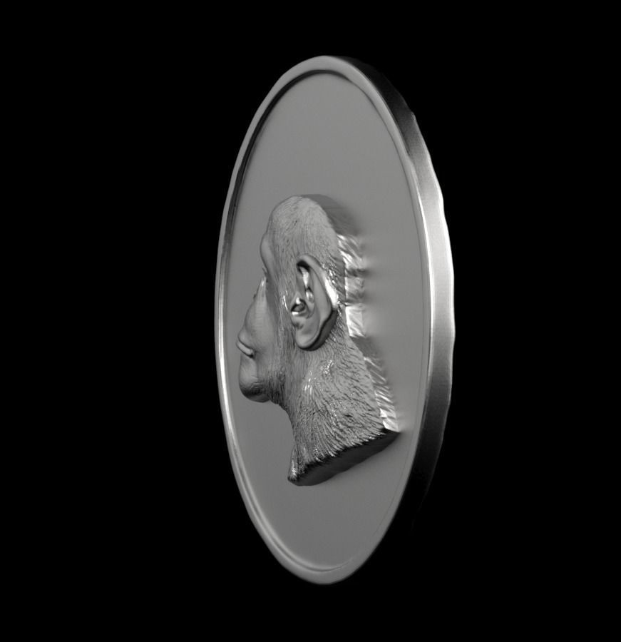 Chinese Zodiac Monkey 003 3D print model_12