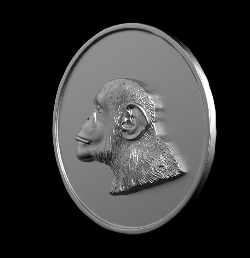 Chinese Zodiac Monkey 003 3D print model_8