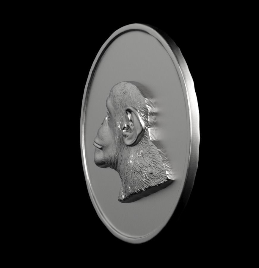 Chinese Zodiac Monkey 003 3D print model_11