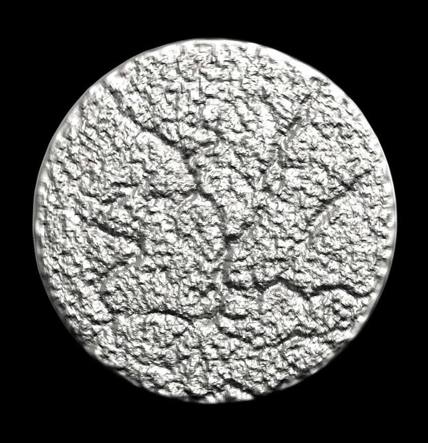 Chinese Zodiac Monkey 003 3D print model_32