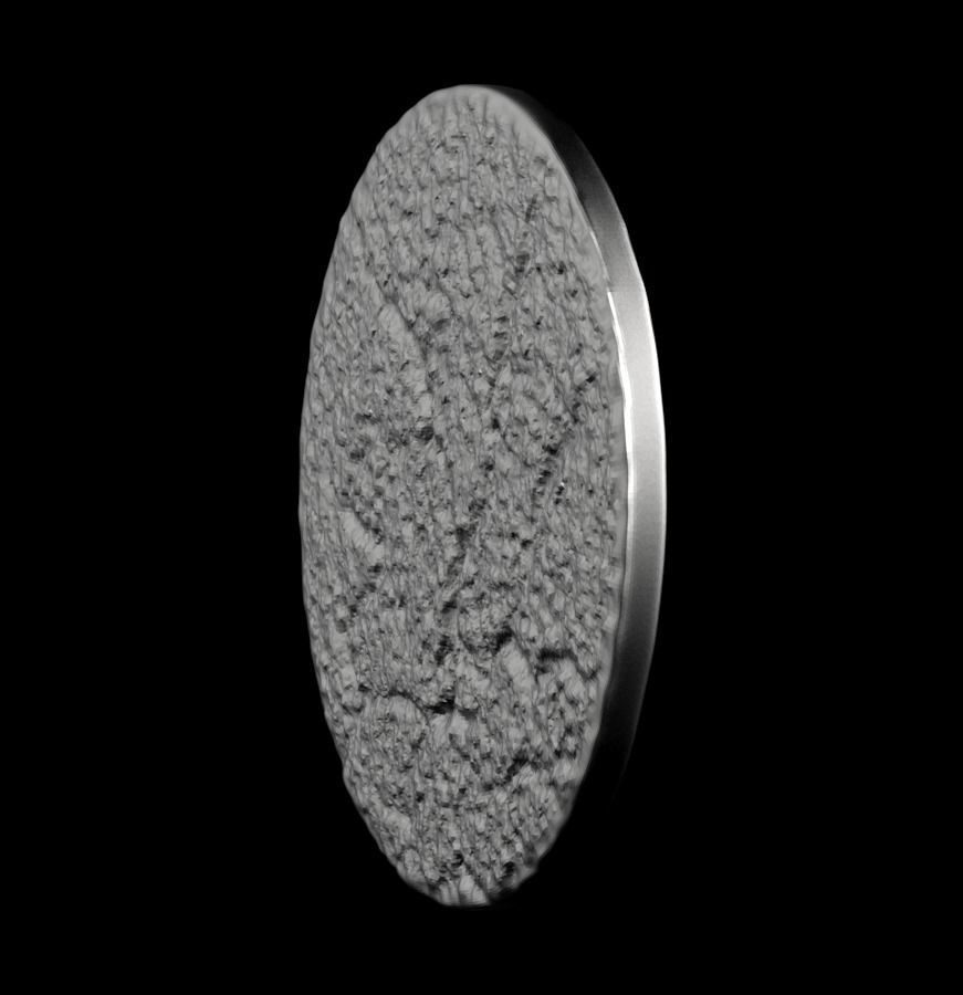 Chinese Zodiac Monkey 003 3D print model_42