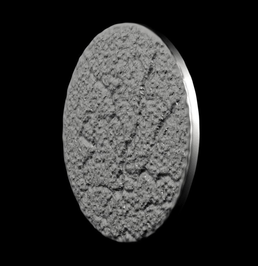 Chinese Zodiac Monkey 003 3D print model_40