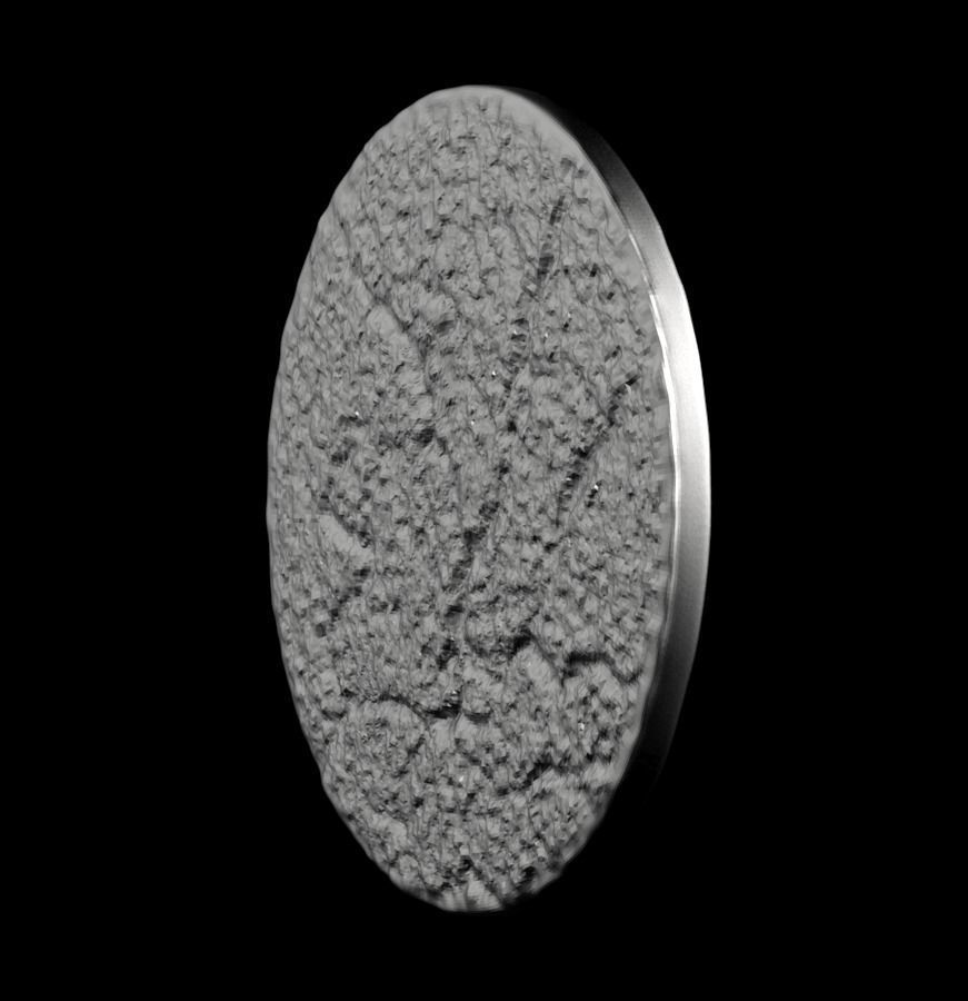 Chinese Zodiac Monkey 003 3D print model_41