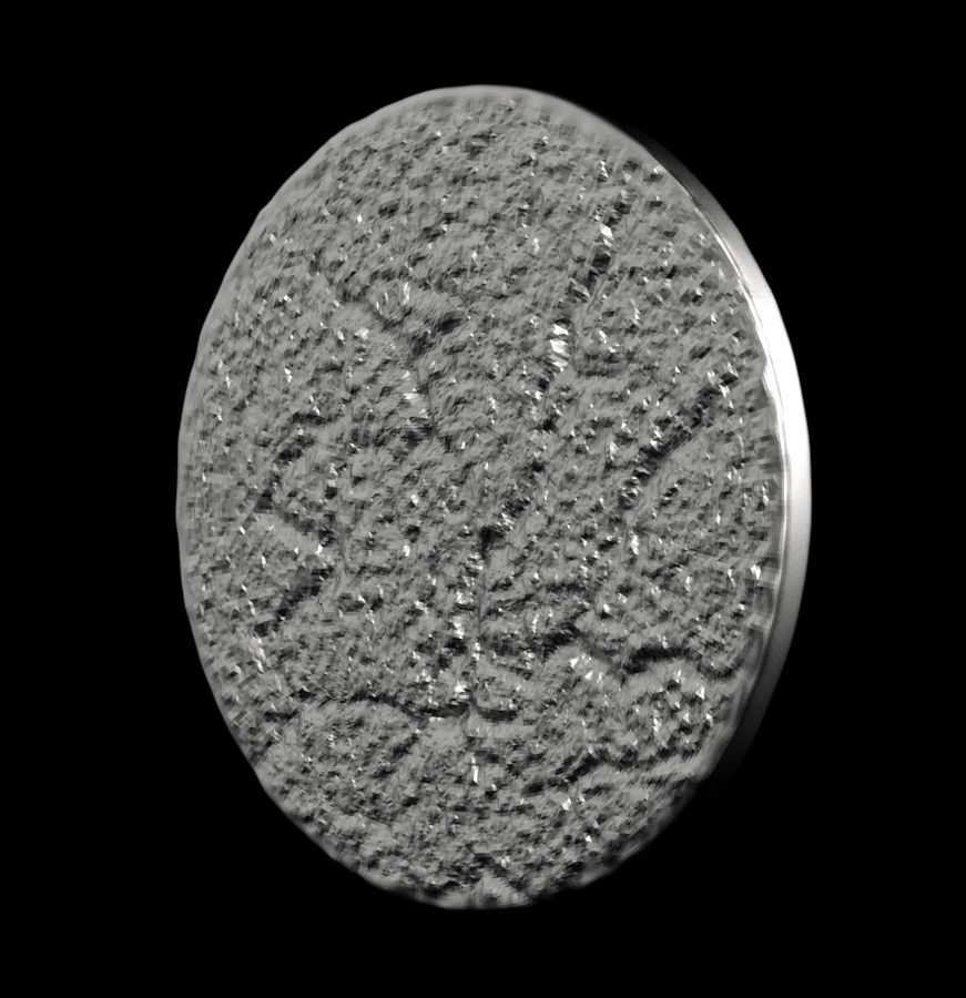 Chinese Zodiac Monkey 003 3D print model_38