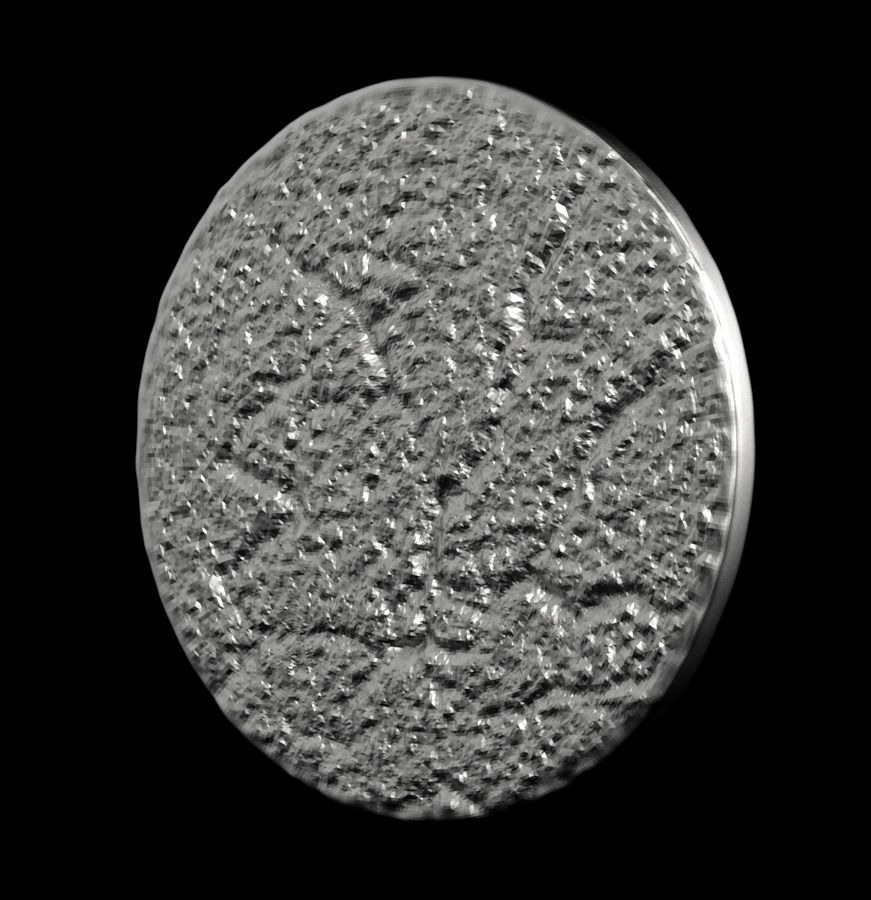 Chinese Zodiac Monkey 003 3D print model_37