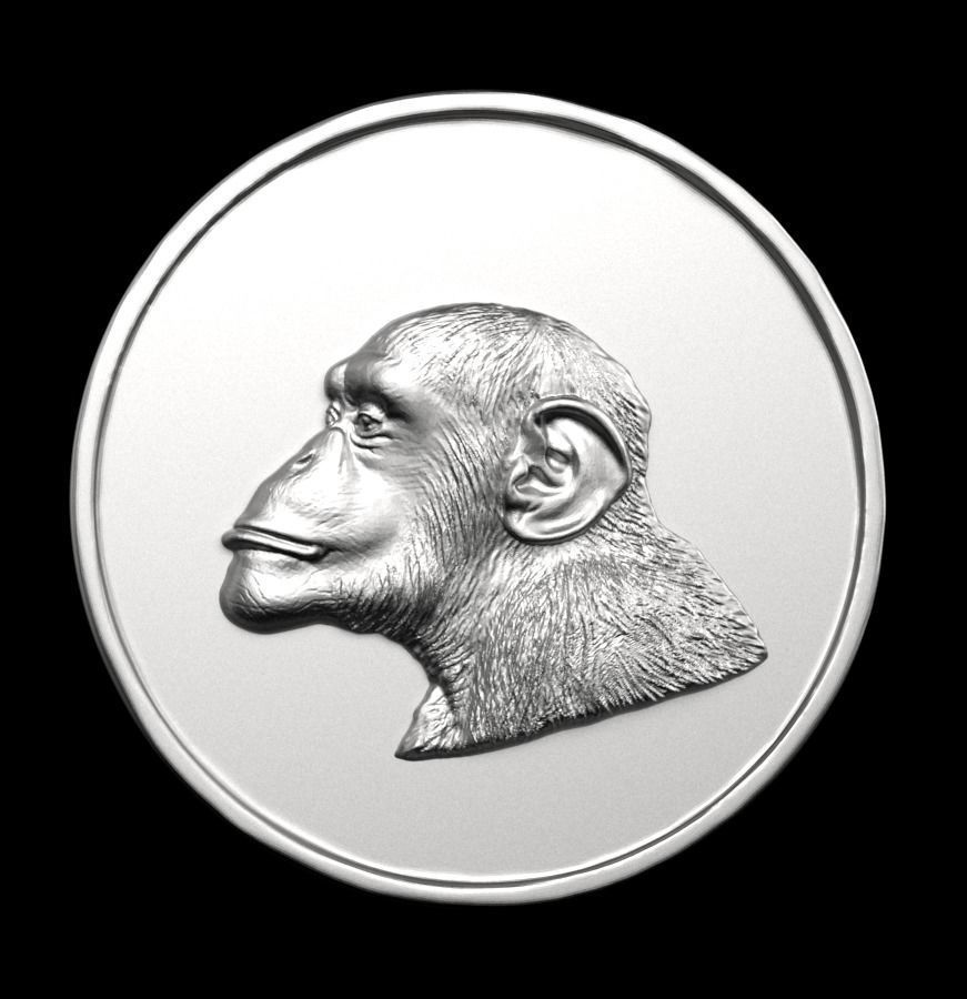 Chinese Zodiac Monkey 003 3D print model_60