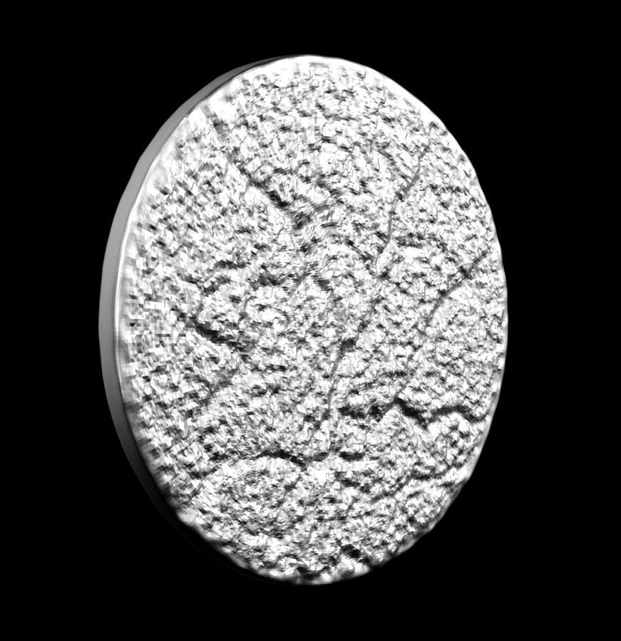 Chinese Zodiac Monkey 003 3D print model_24