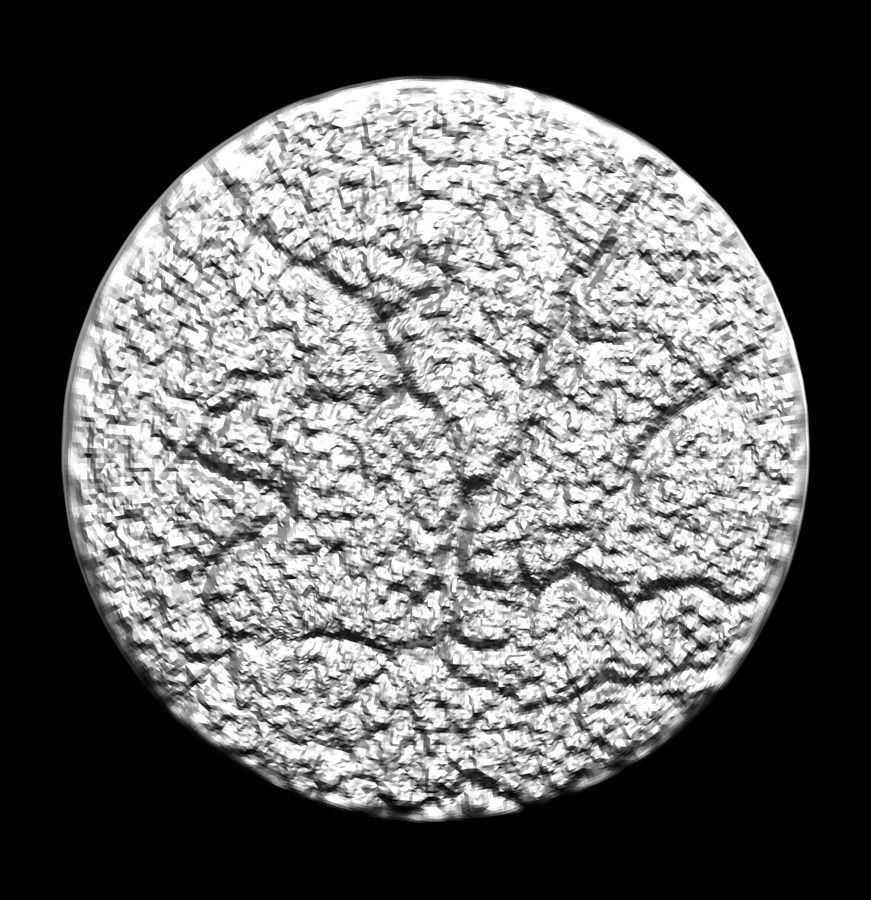 Chinese Zodiac Horse 003 3D print model_31