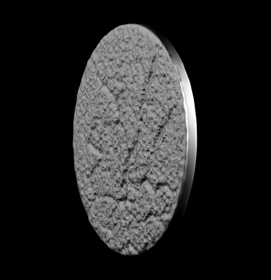 Chinese Zodiac Horse 003 3D print model_41