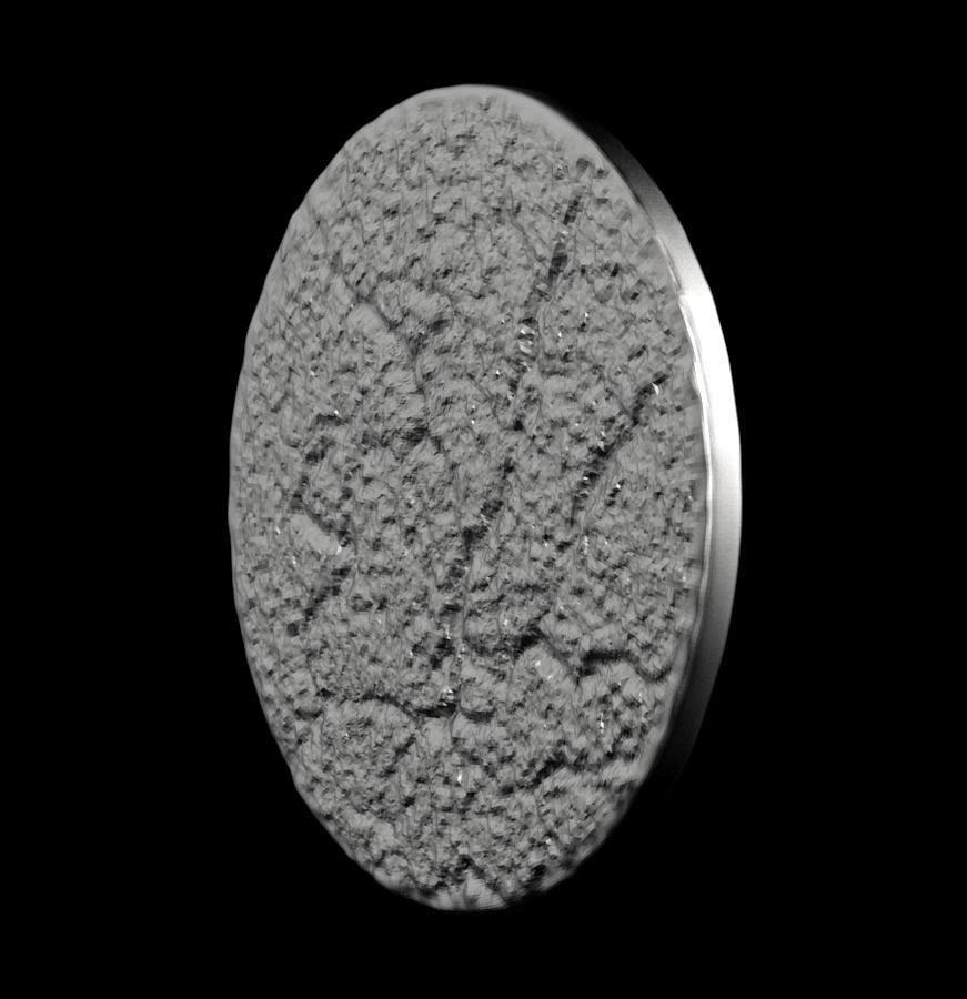 Chinese Zodiac Horse 003 3D print model_40