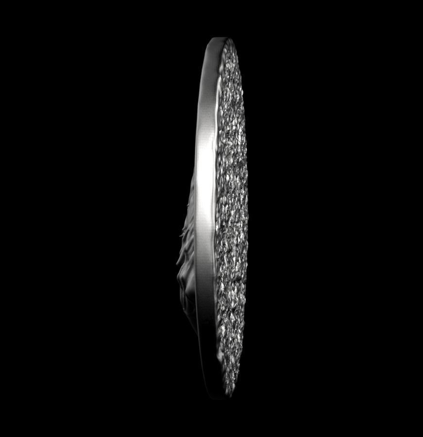 Chinese Zodiac Horse 003 3D print model_17