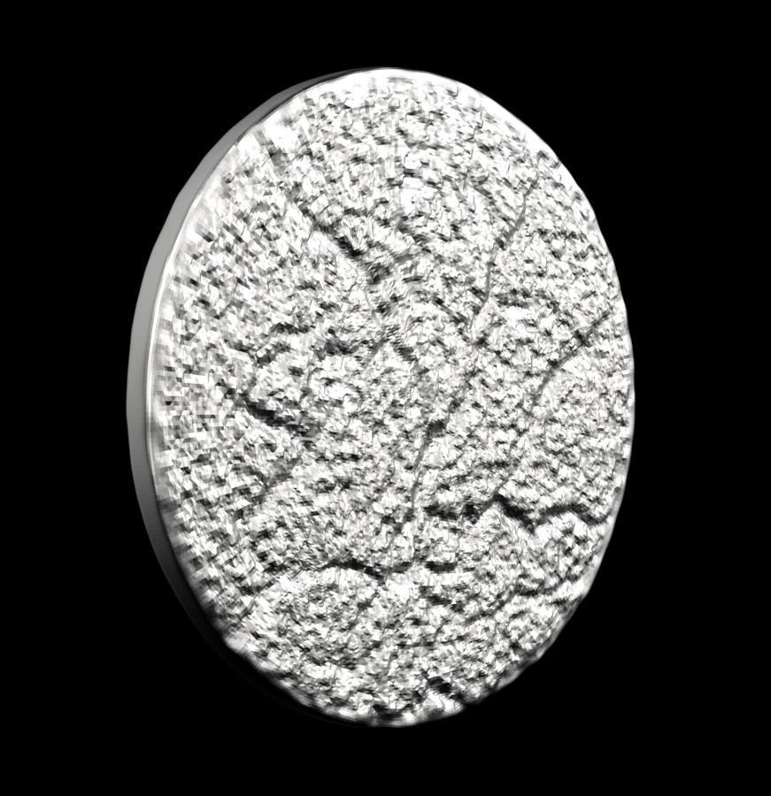 Chinese Zodiac Horse 003 3D print model_24