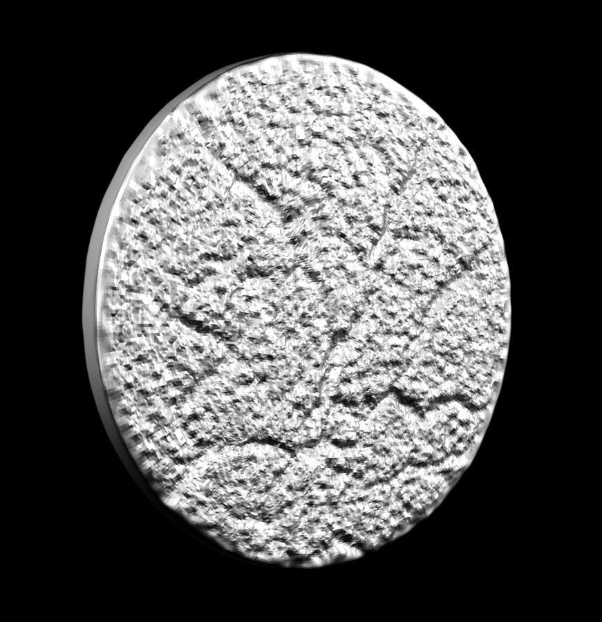 Chinese Zodiac Horse 003 3D print model_25