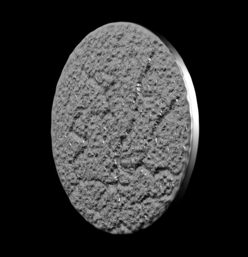 Chinese Zodiac Horse 003 3D print model_39