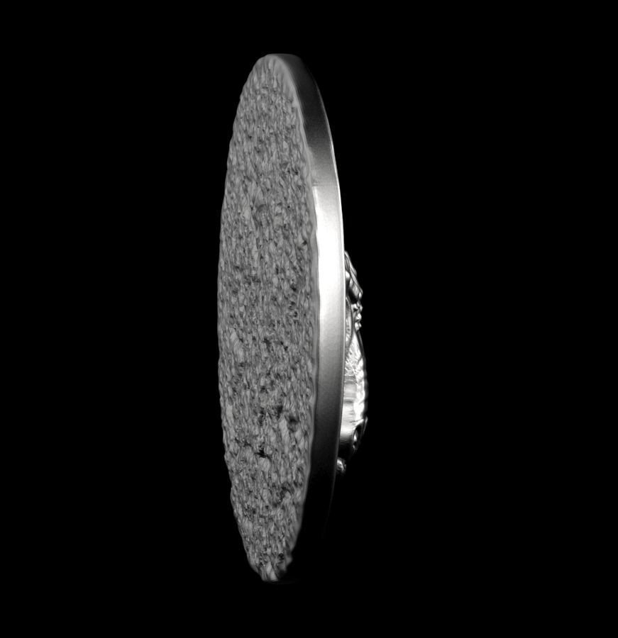 Chinese Zodiac Goat 003 3D print model_44