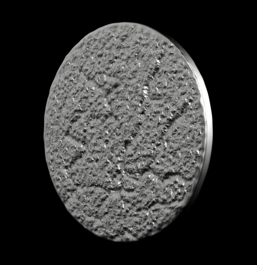 Chinese Zodiac Dragon 003 3D print model_41