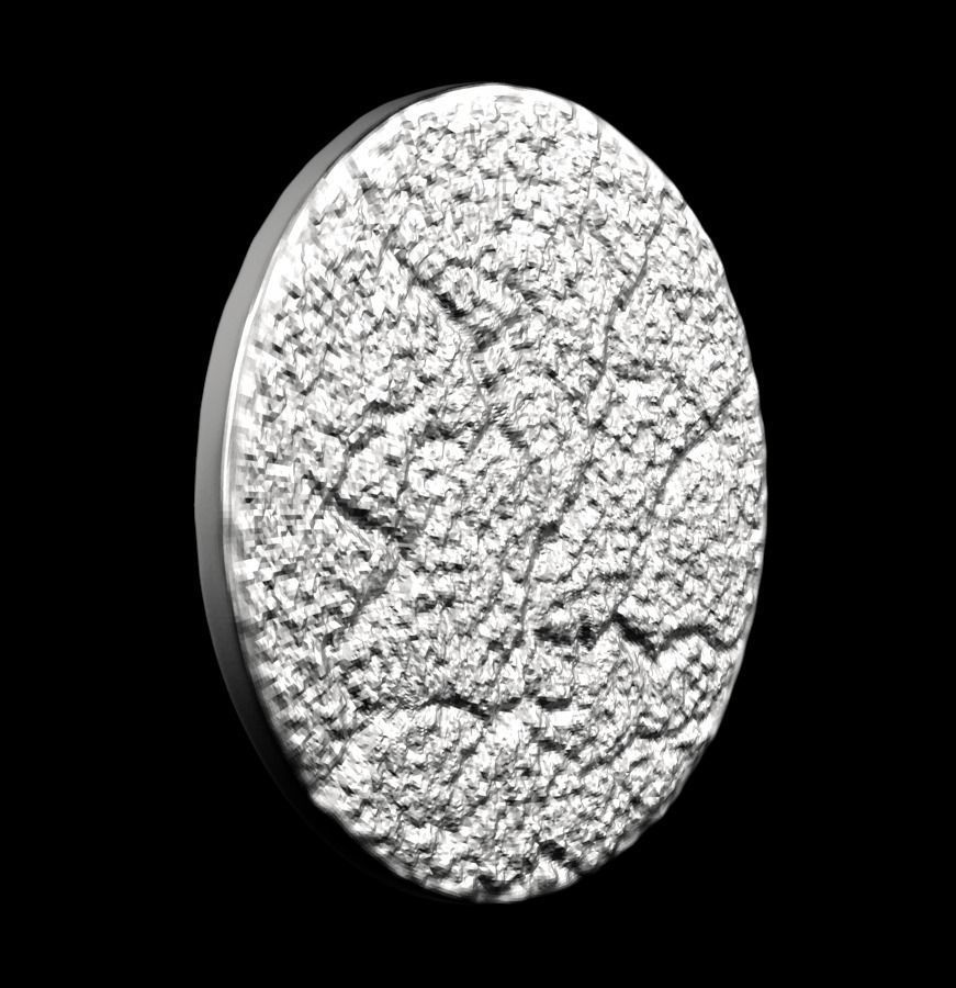 Chinese Zodiac Dragon 003 3D print model_26