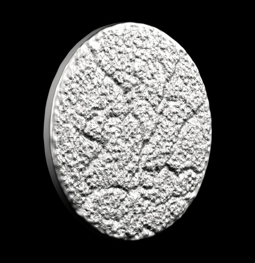 Chinese Zodiac Dragon 003 3D print model_27