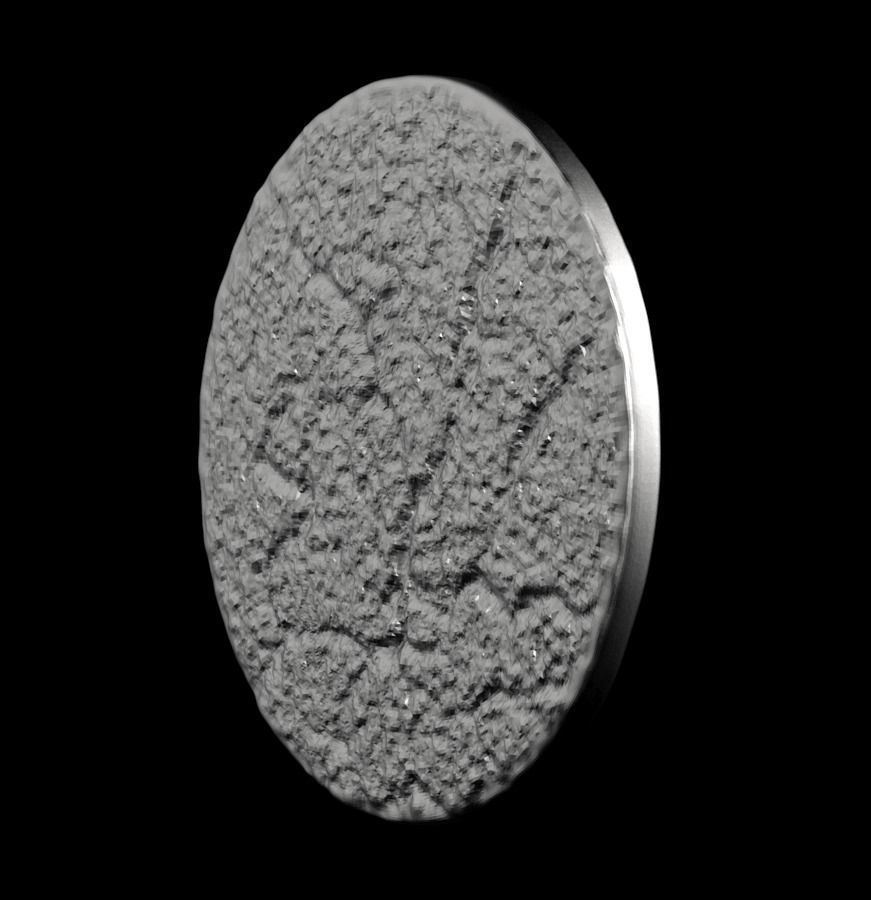 Chinese Zodiac Dragon 003 3D print model_43