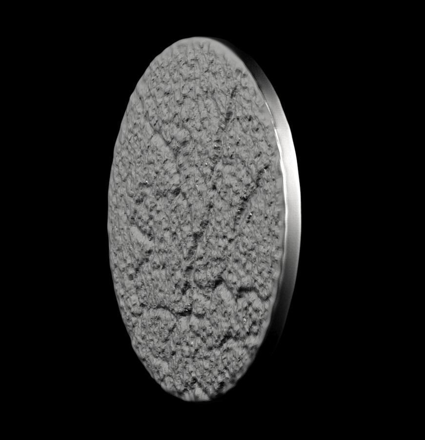 Chinese Zodiac Dog 003 3D print model_41