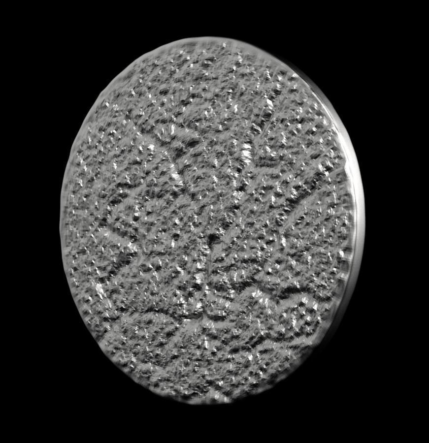 Chinese Zodiac Dog 003 3D print model_37