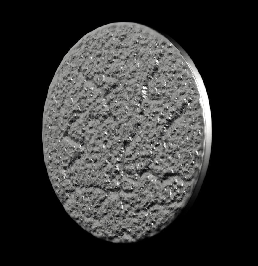 Chinese Zodiac Dog 003 3D print model_38