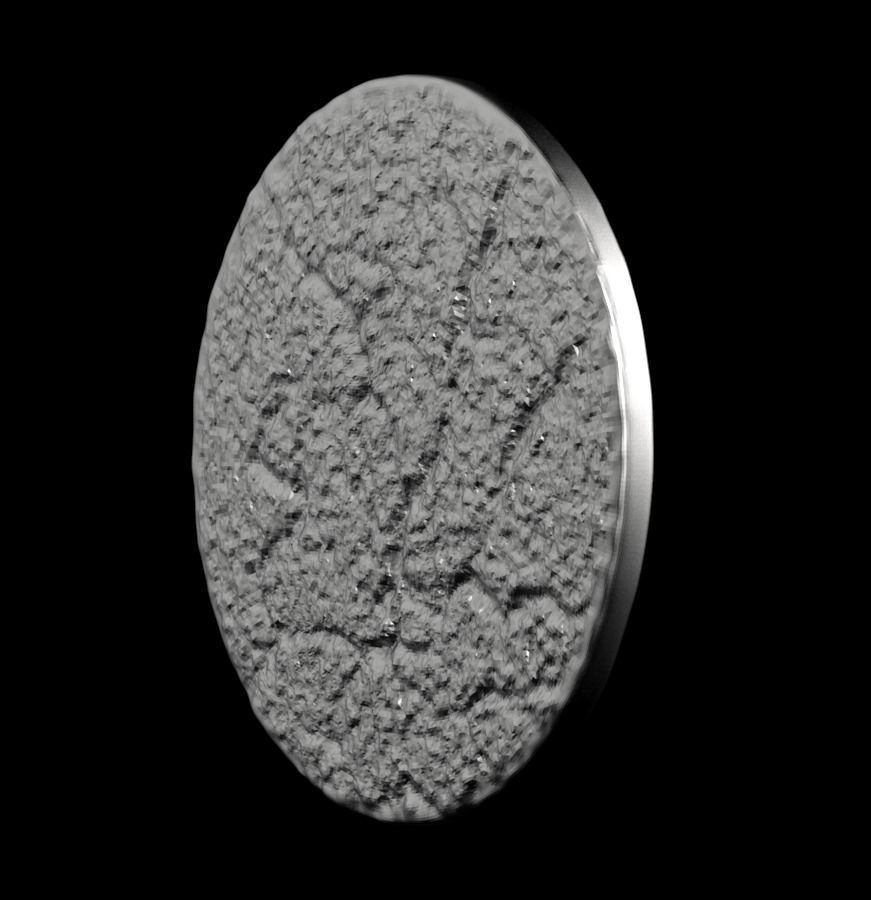 Chinese Zodiac Dog 003 3D print model_40