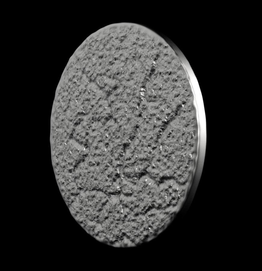 Chinese Zodiac Dog 003 3D print model_39