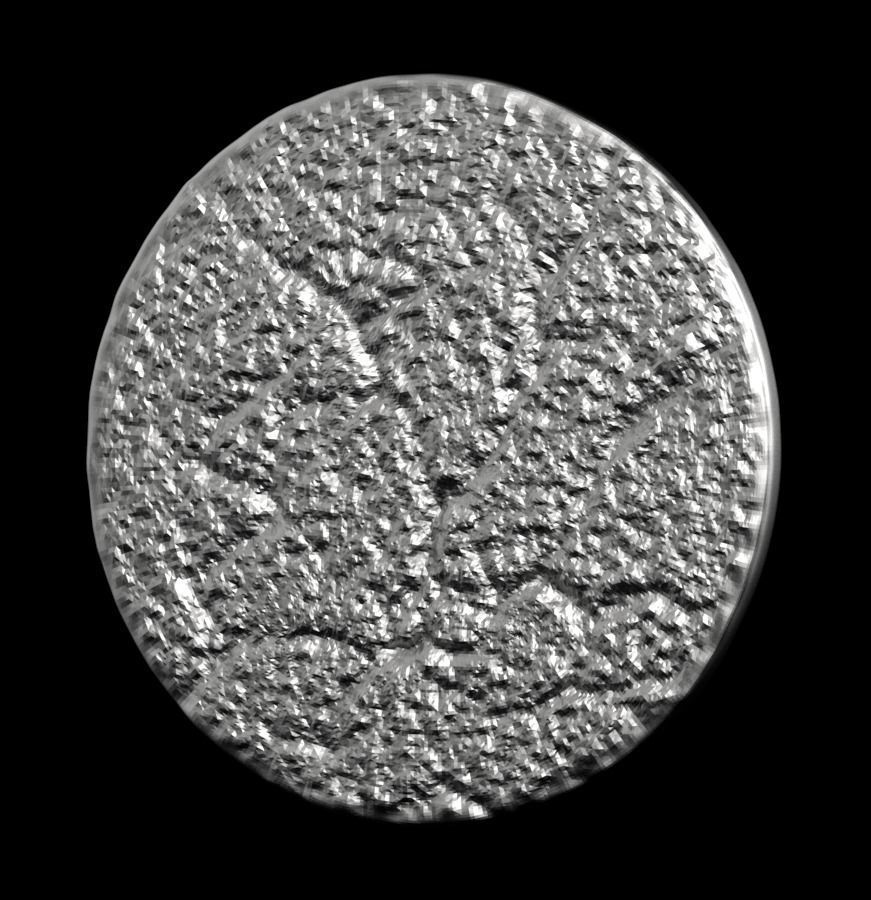 Chinese Zodiac Dog 003 3D print model_35