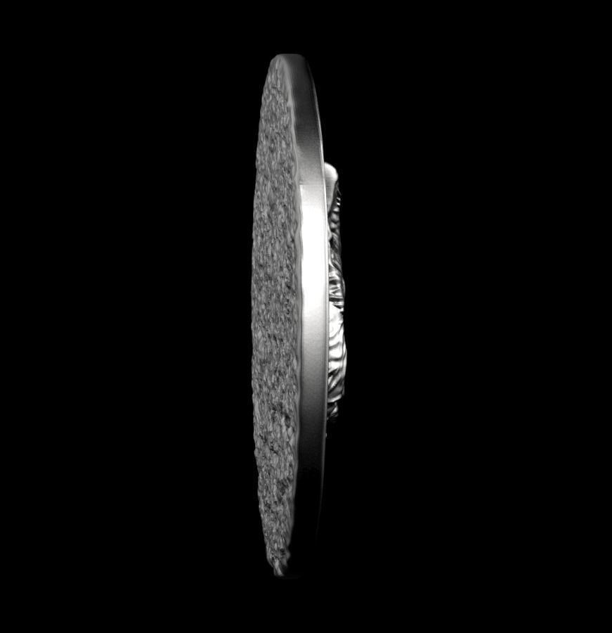 Chinese Zodiac Cat 003 3D print model_45