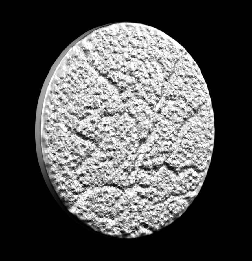 Chinese Zodiac Cat 003 3D print model_25